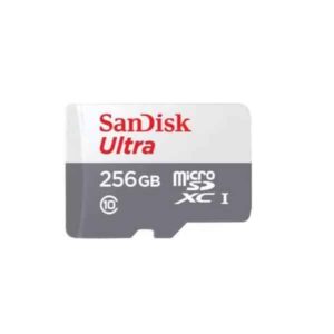 sandisk 256gb microsd car.jpg